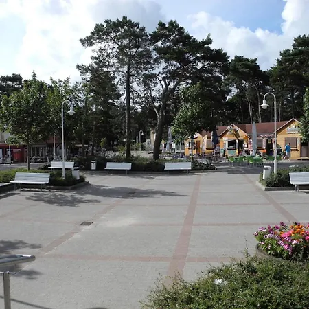 Schwarze Perle - Glowe